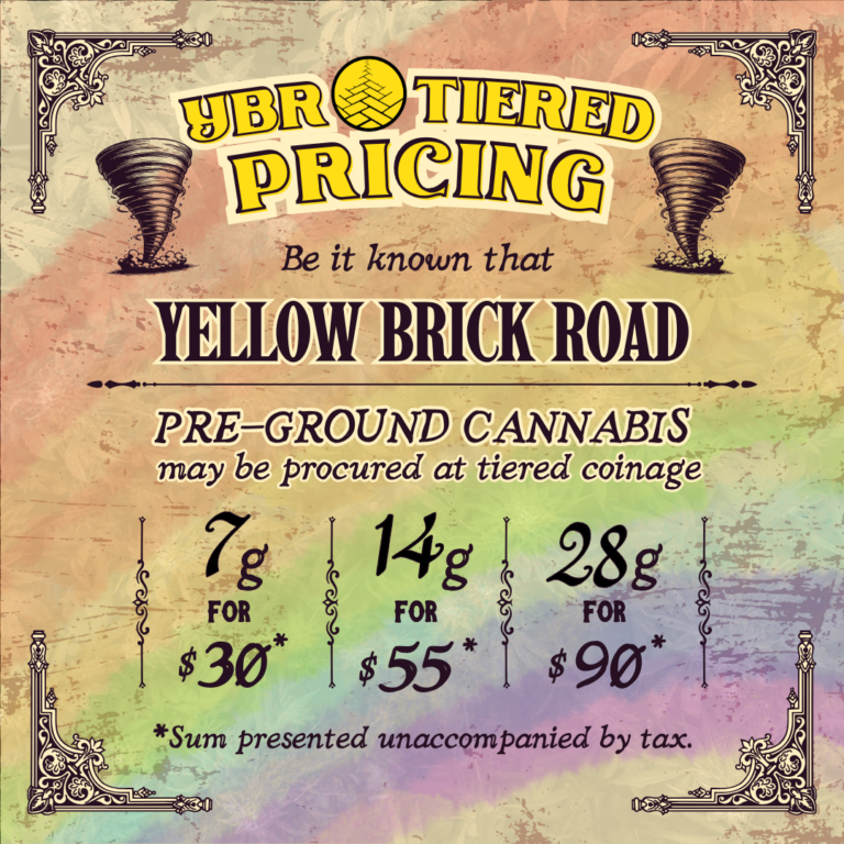 Yellow Brick Road Flower Bundle Deal