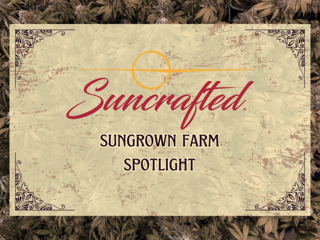 Suncrafted spotlight. Sun grown cannabis