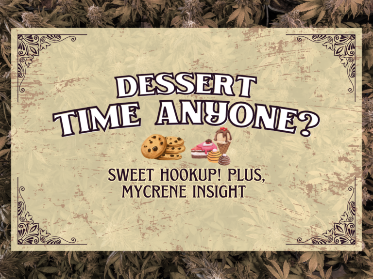 dessert at tree house