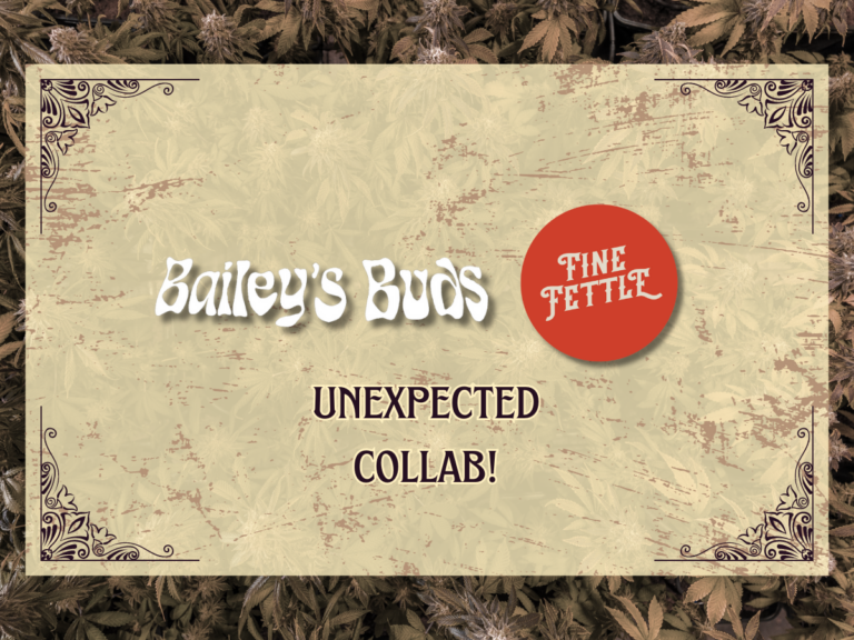 Fine Fettle and Bailey's Buds collab at Tree house