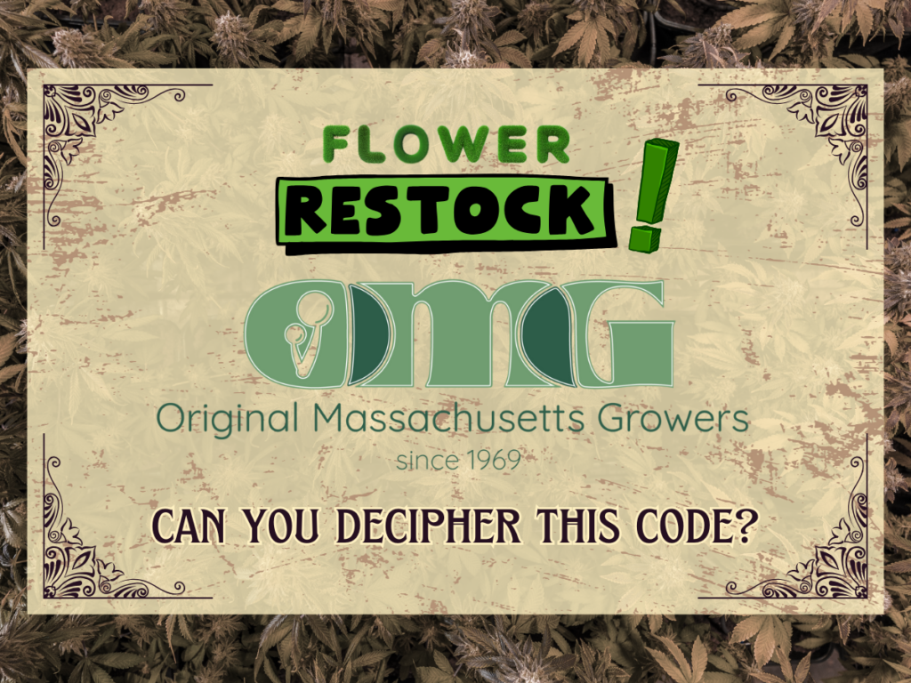original massachusetts growers at tree house
