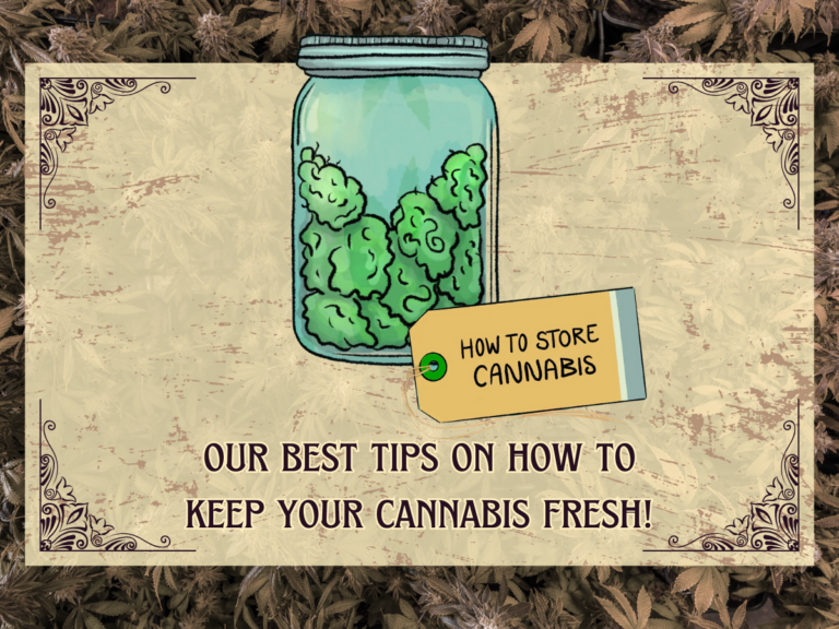 how to best store your cannabis flower